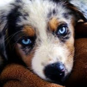 meganhenderson avatar