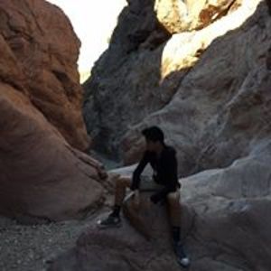 greenturkey1234 avatar