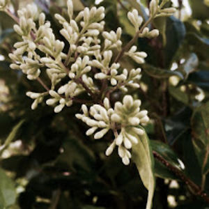 aishwaryaapte avatar