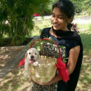 nivedhithababu avatar