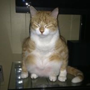 tremor_kryste avatar