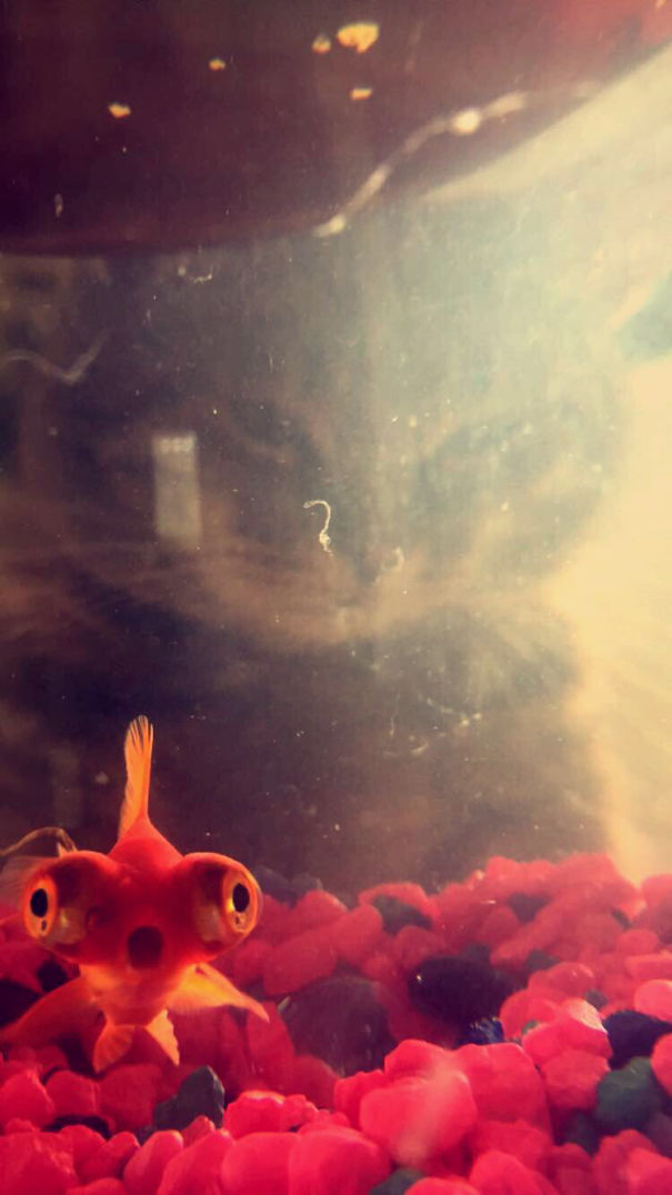 It's Behind Me... Isn't It?