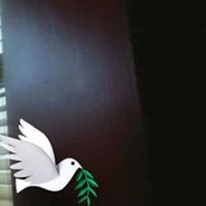 thomasjj_maccormack avatar