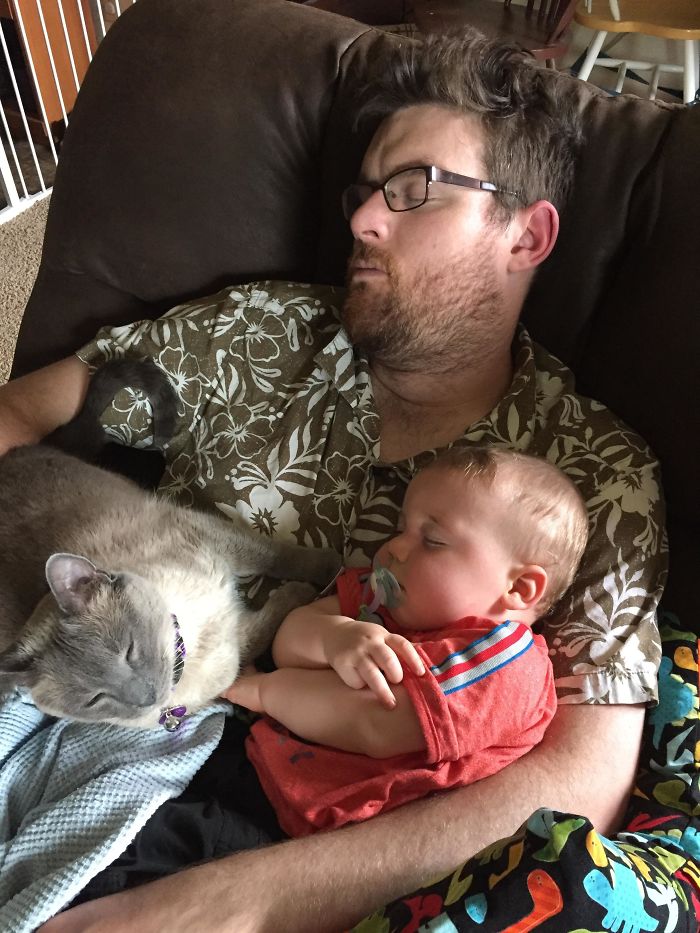 I Came Home From Work To Find All My Guys Sleeping