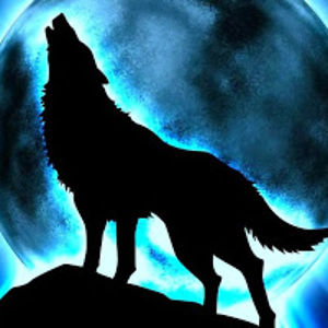 carolynyoung_1 avatar