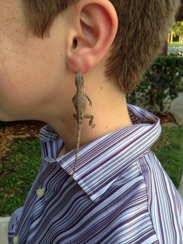 My Younger Cousin Walked Over To Me And Said He Got New Earrings