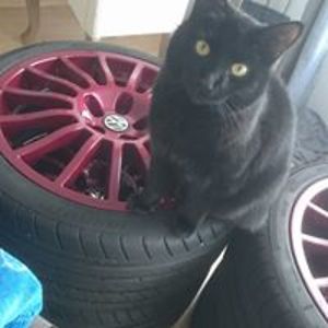 schindzielorz avatar