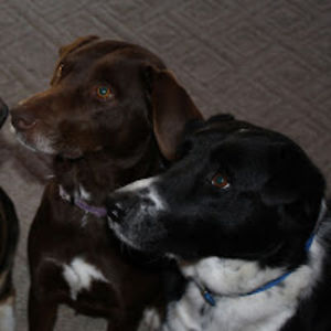 charlenemsmicro avatar