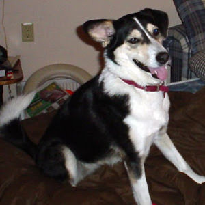 elizagreenwood avatar