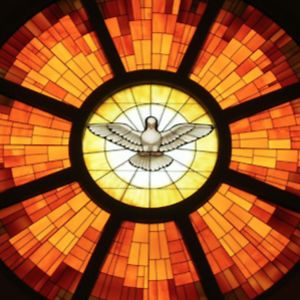 magichollytail avatar