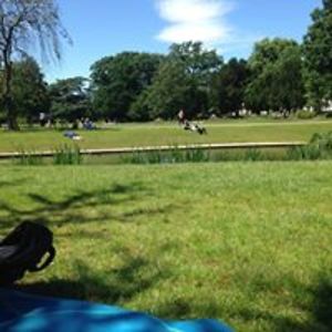 kokiri_villager_tofu avatar