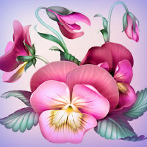 amandasherland avatar