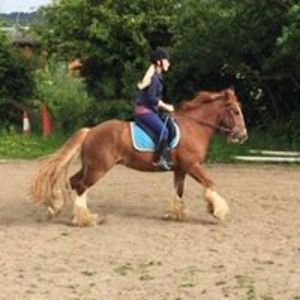 laurajanerich avatar