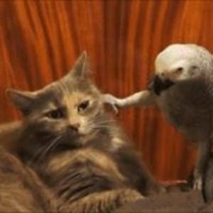 vernita_green avatar