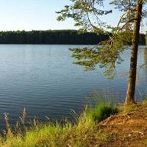 yvonnezitzmann avatar