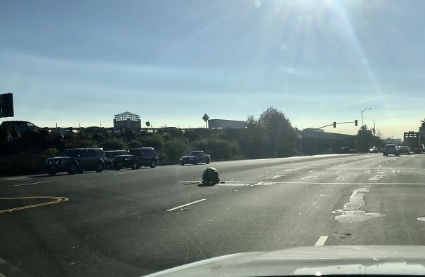 Found This Guy Digging In A Manhole On Busy 4 Lane Road. No Cones, No Truck, Just An Orange Vest