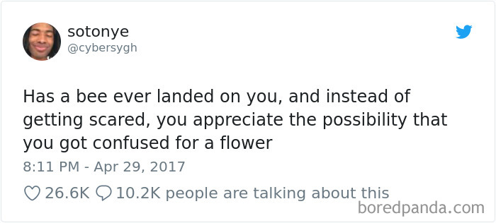 Has A Bee Ever Landed On You?