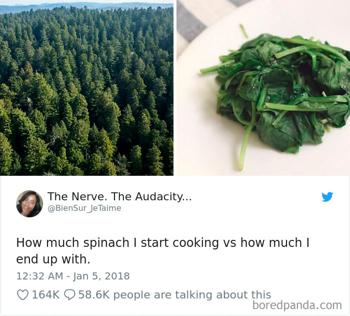 Funniest-Woman-Tweets-2018