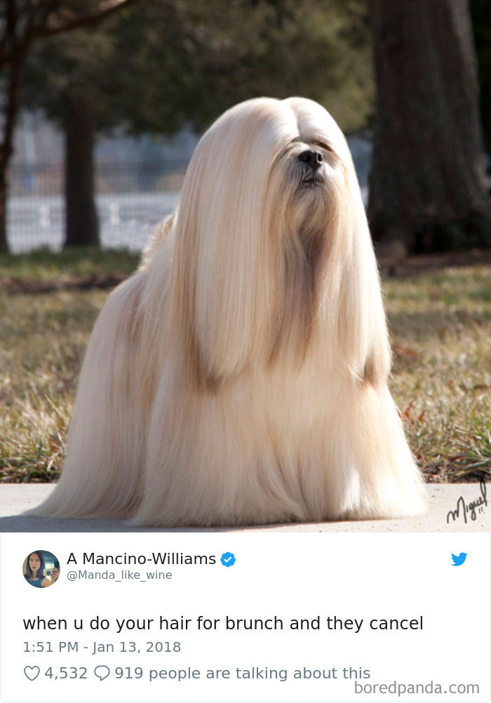 Funniest-Woman-Tweets-2018