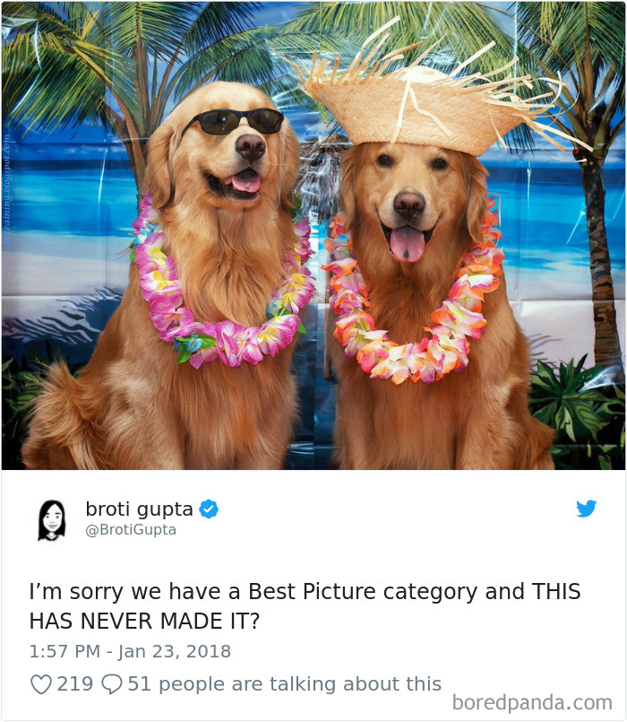 Funniest-Woman-Tweets-2018