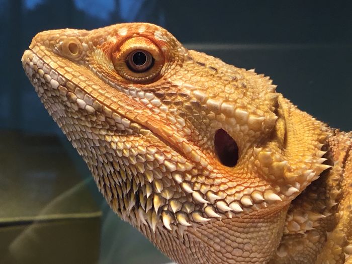 I Run A Small Animal Rescue: This Is What I See Every Day