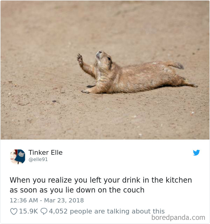 Funniest-Woman-Tweets-2018