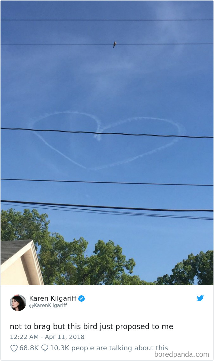 Funniest-Woman-Tweets-2018