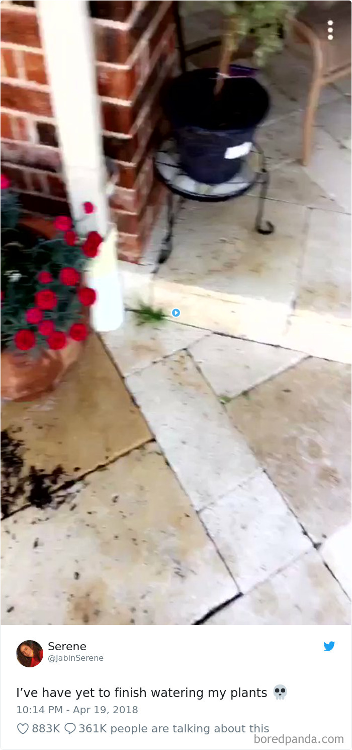 Funniest-Woman-Tweets-2018