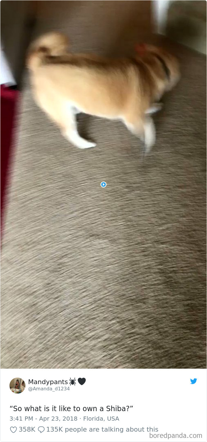 Funniest-Woman-Tweets-2018