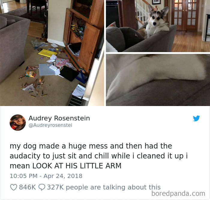 Funniest-Woman-Tweets-2018