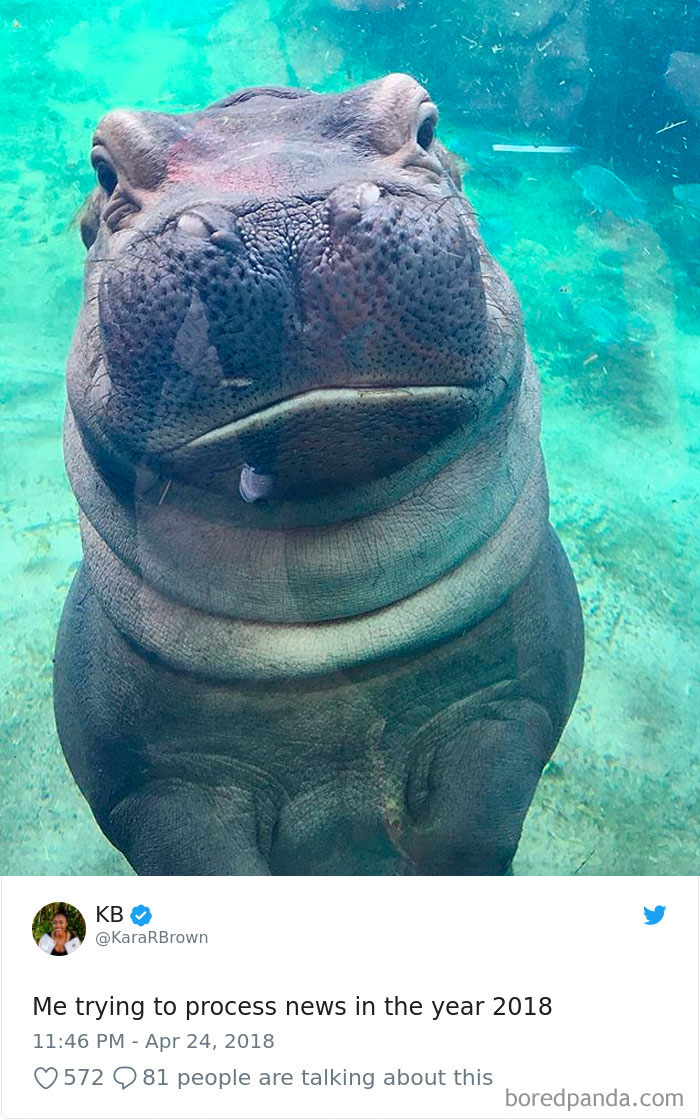 Funniest-Woman-Tweets-2018