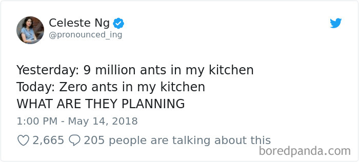 Funniest-Woman-Tweets-2018