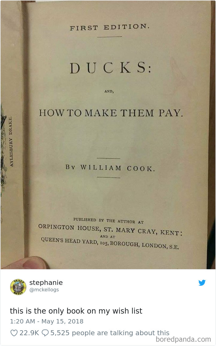 Funniest-Woman-Tweets-2018