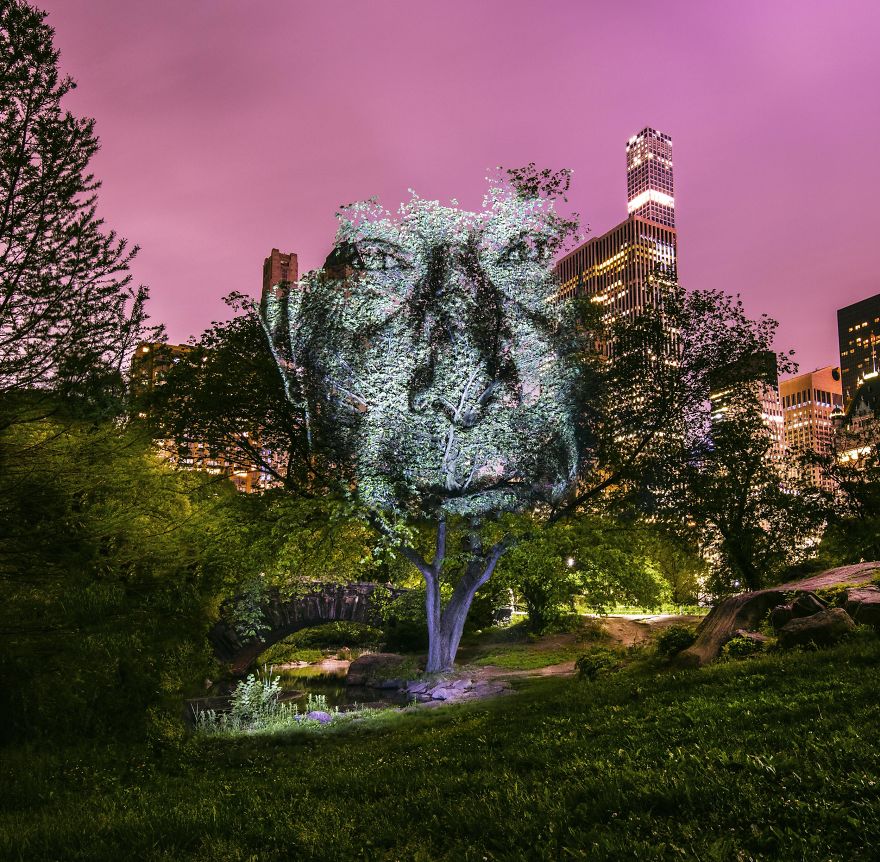 Artist Creates Incredible Portraits In Central Park Using Light Projections Artist Creates Incredible Portraits In Central Park Using Light Projections