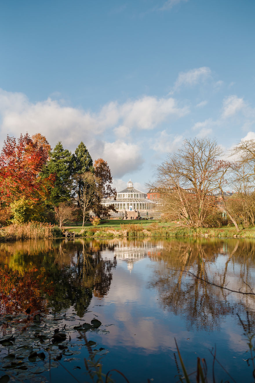Botanisk Have In Fall