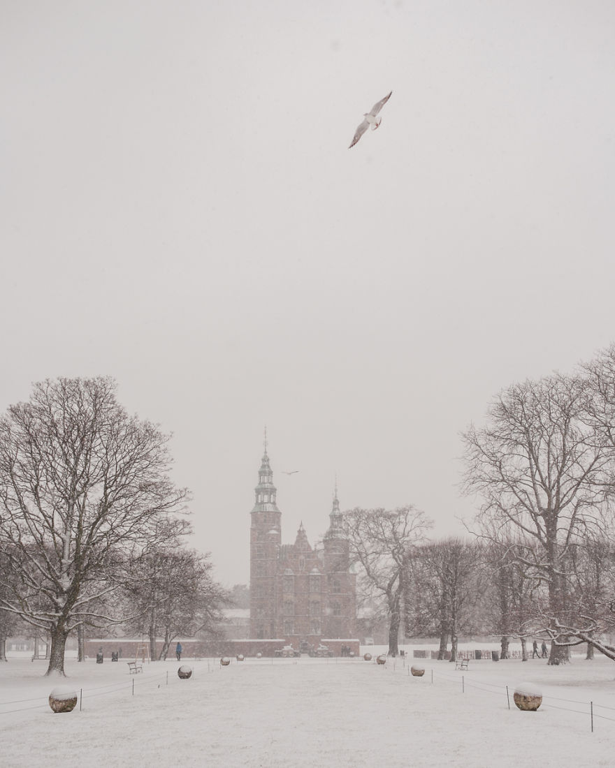 Flying Through The Snow