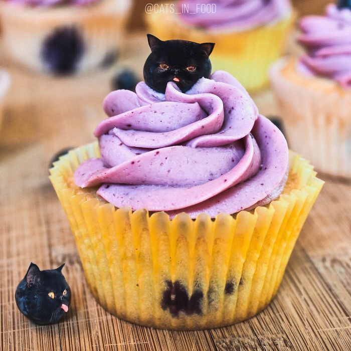 I Photoshop Cats Into Food