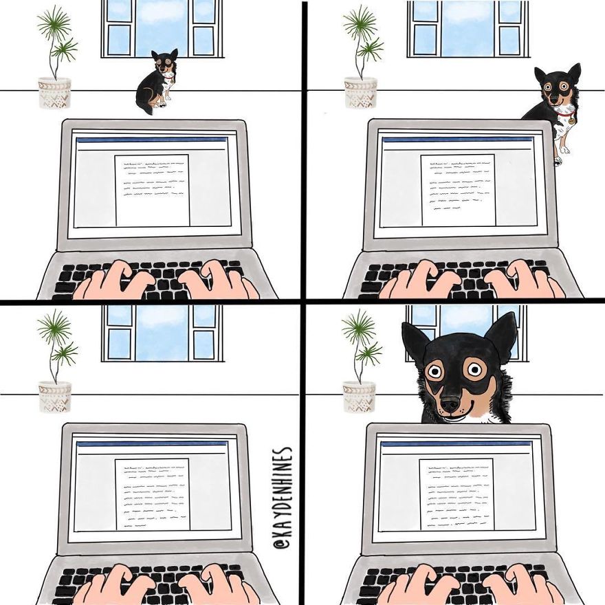 Funny-Life-Illustrations-Kayden-Hines