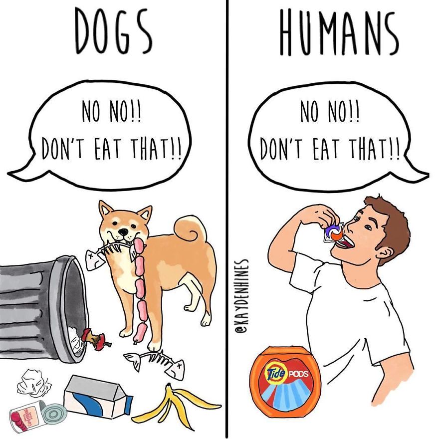 Funny-Life-Illustrations-Kayden-Hines