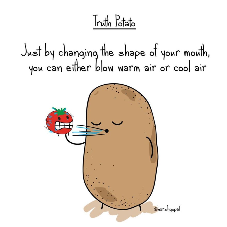 20+ Bitter Truths From The Truth Potato That You Must Read (Again)!