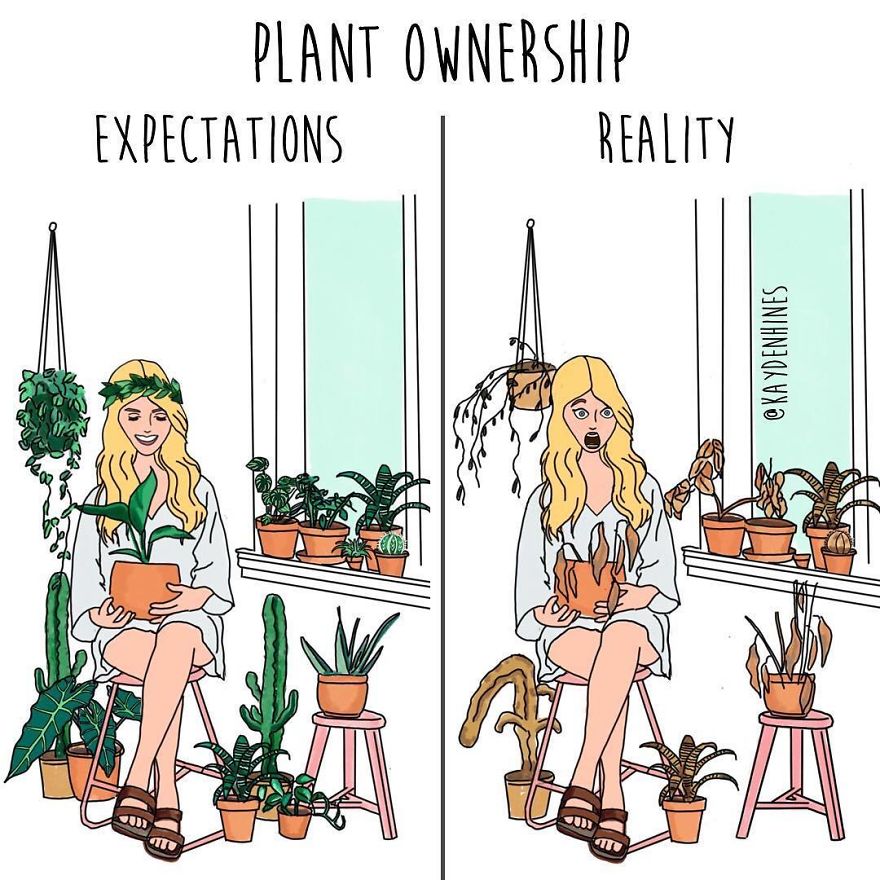 Funny-Life-Illustrations-Kayden-Hines