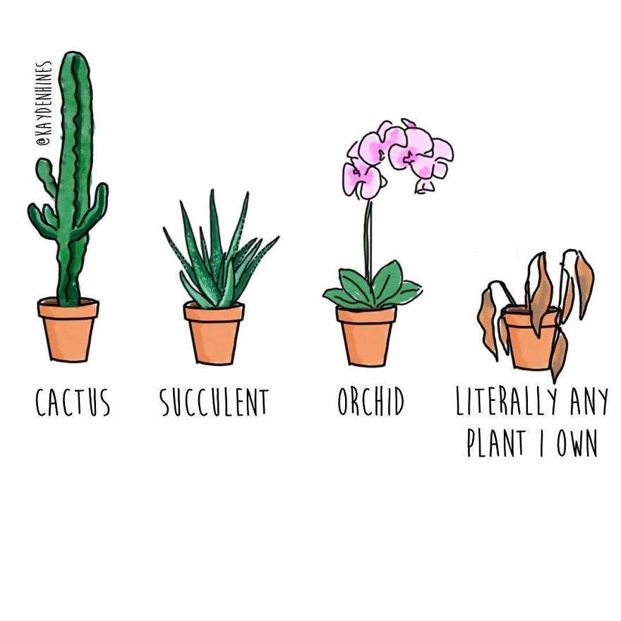 Funny-Life-Illustrations-Kayden-Hines