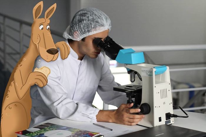 "What Are Ya Looking At?" "I Swear To God, Jerome, If You Put Mayonnaise On My Slide Again..."