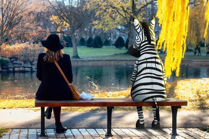 "I Just Wanted To Say I'm Sorry For Trying To Ride You At My Brother's Kentucky Derby Party." It Wasn't The First Time Zack Had Heard This Apology