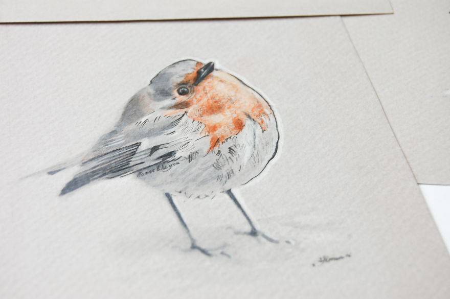 Incredibly Vivid Drawings Show Birds In All Their Beauty