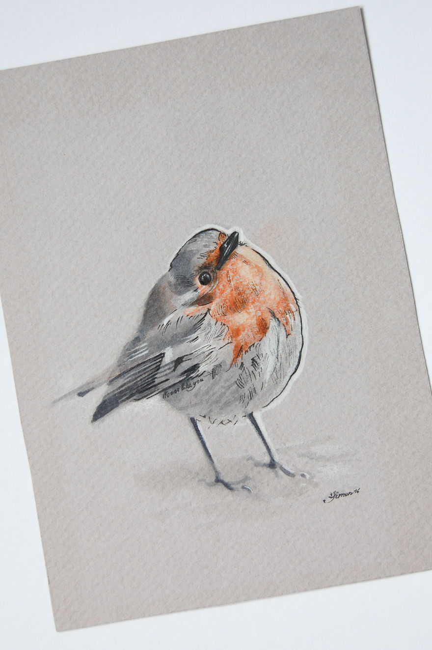 Incredibly Vivid Drawings Show Birds In All Their Beauty