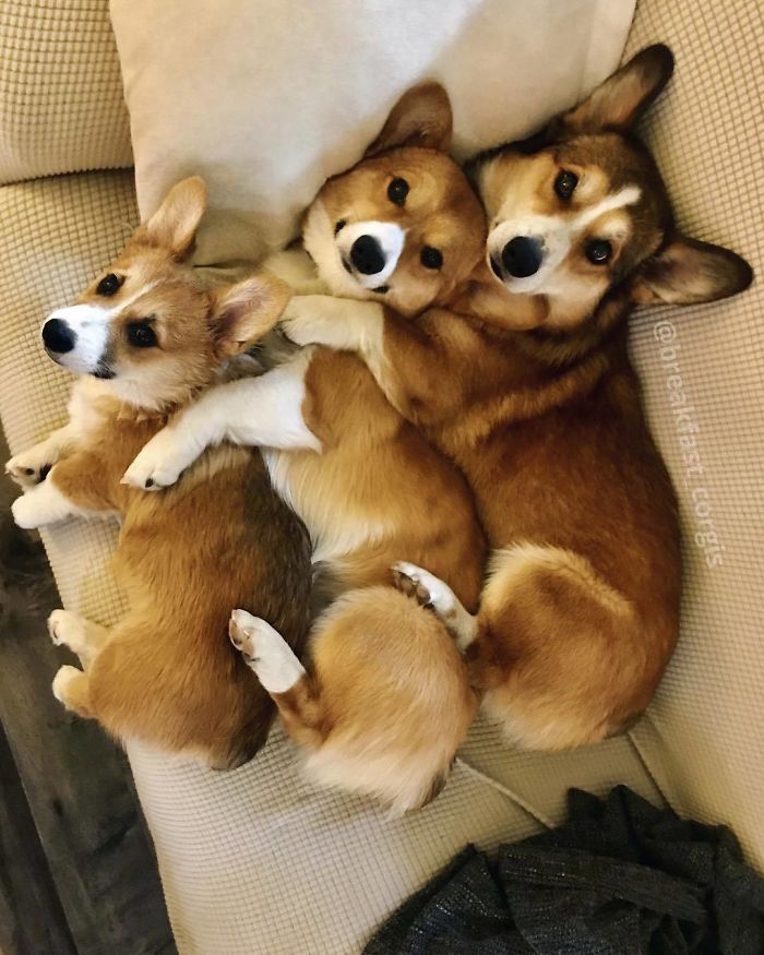 Small, Medium, Or Large?