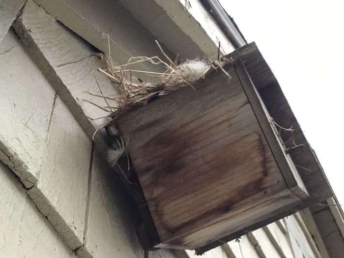 I Run A Small Animal Rescue: This Is What I See Every Day