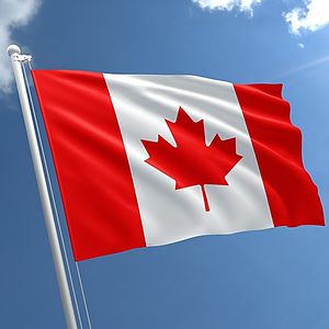 nancyparkinson avatar