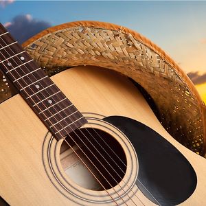 elnelsonturtle avatar